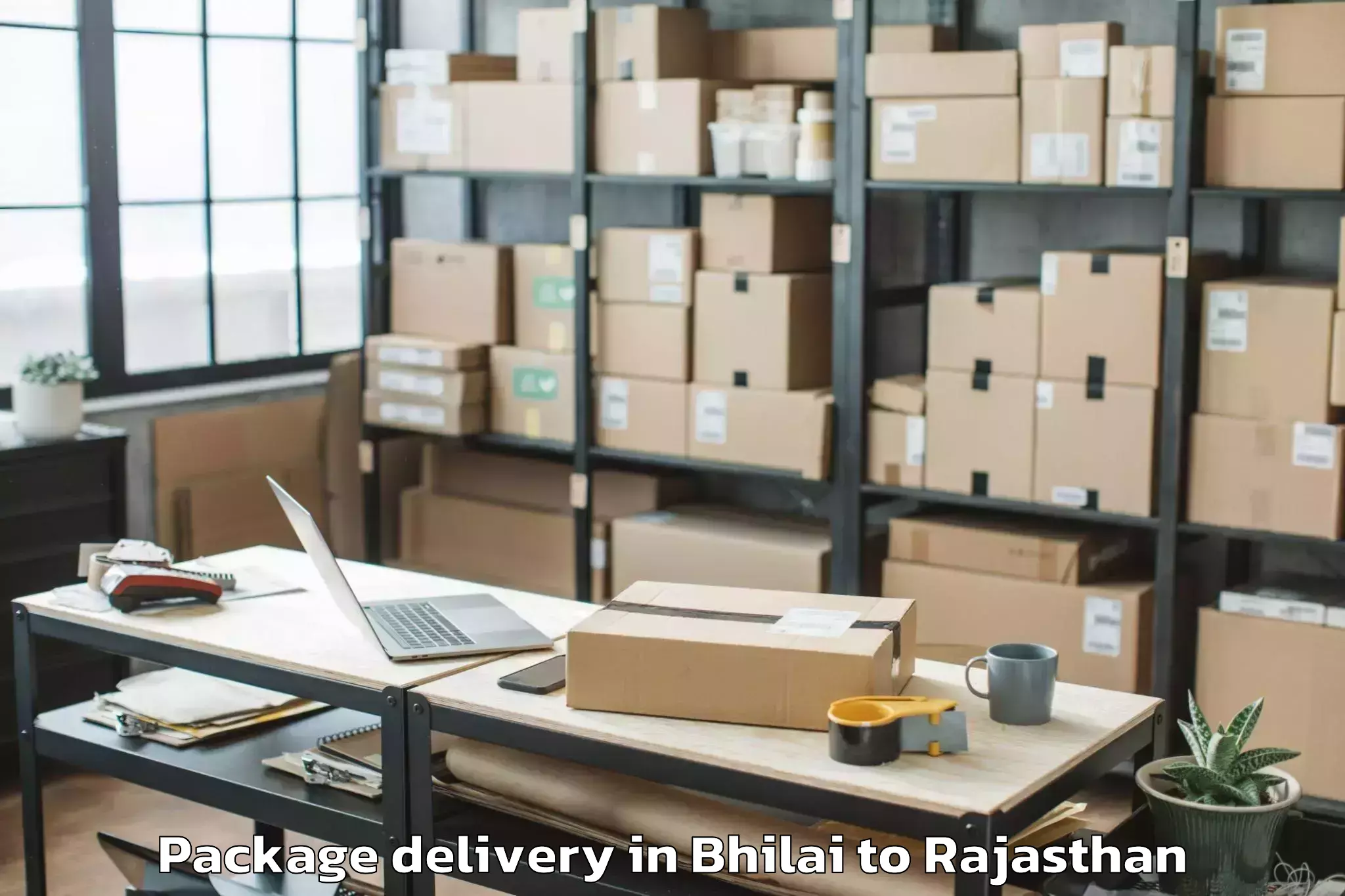 Hassle-Free Bhilai to Gulabpura Package Delivery